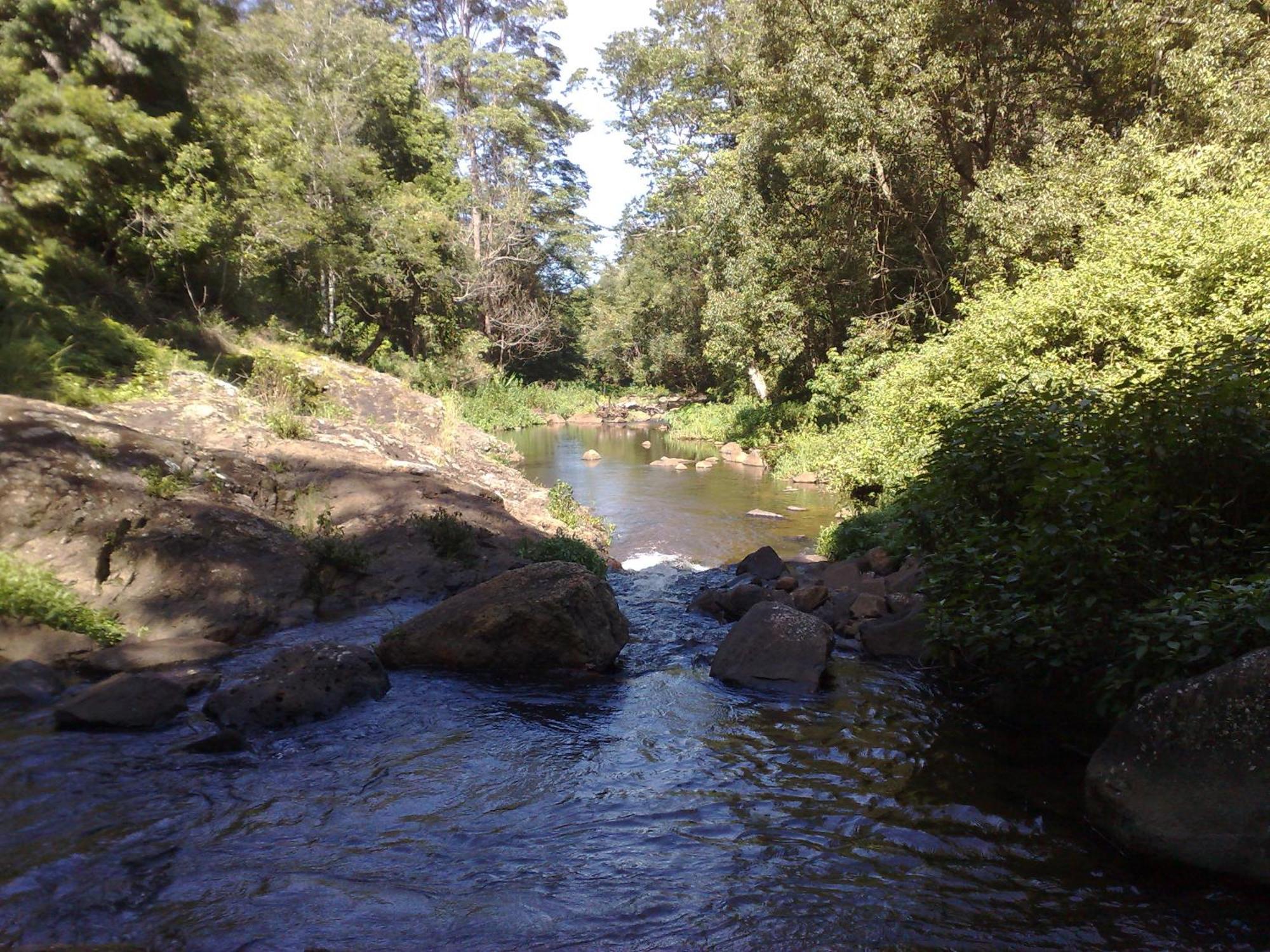 Alstonville Country Cottages Esterno foto