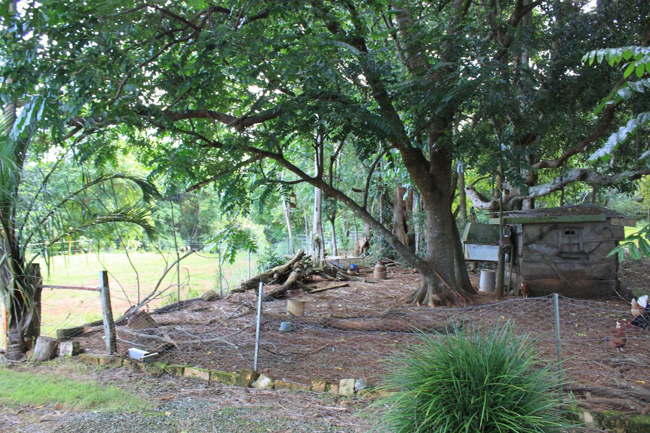 Alstonville Country Cottages Esterno foto